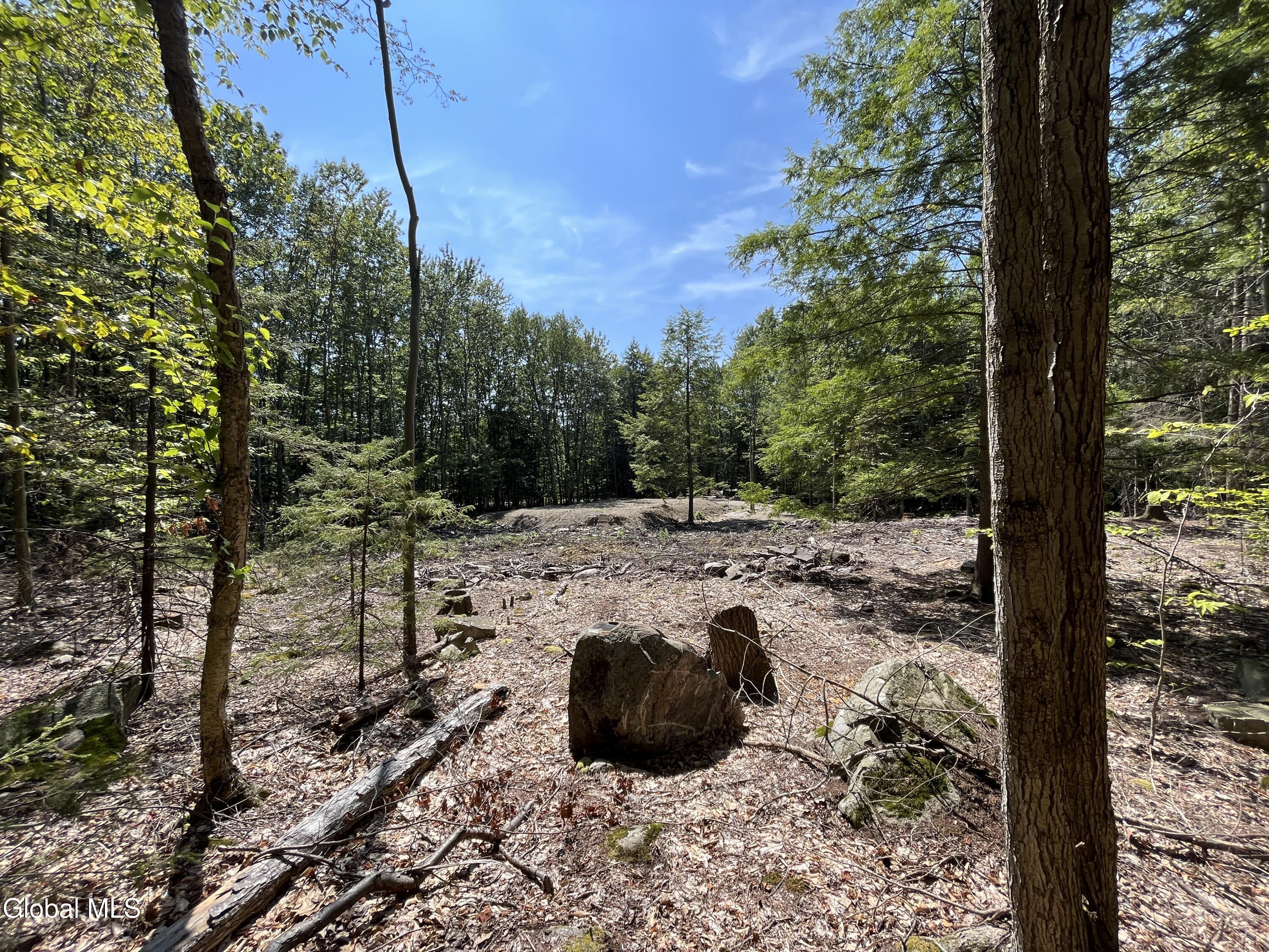 541 Taborton Road Sand Lake, NY 12153 - Photo 16 of 26 SWood26