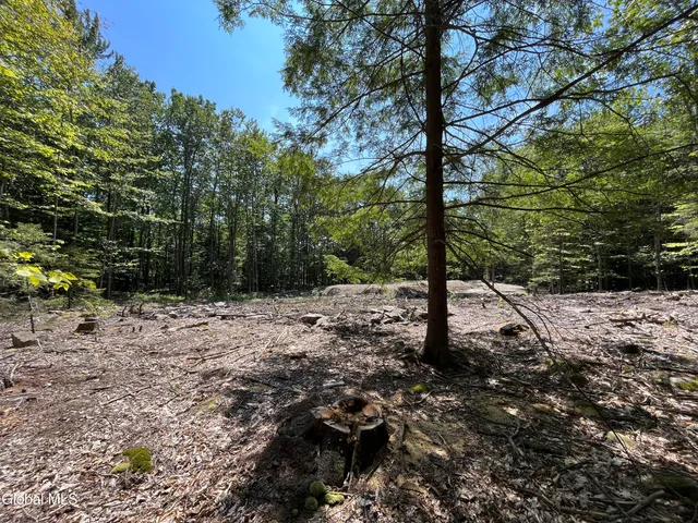 $139,000 | 541 Taborton Road, Sand Lake, NY 12153