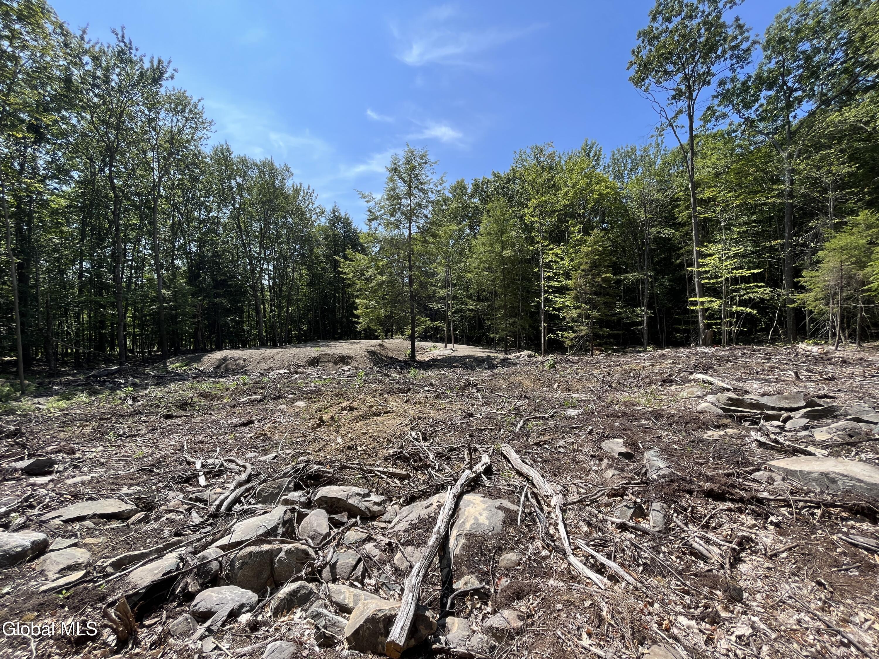 541 Taborton Road Sand Lake, NY 12153 - Photo 19 of 26 SWood29