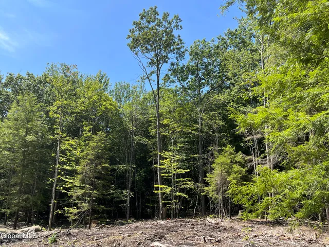 $139,000 | 541 Taborton Road, Sand Lake, NY 12153