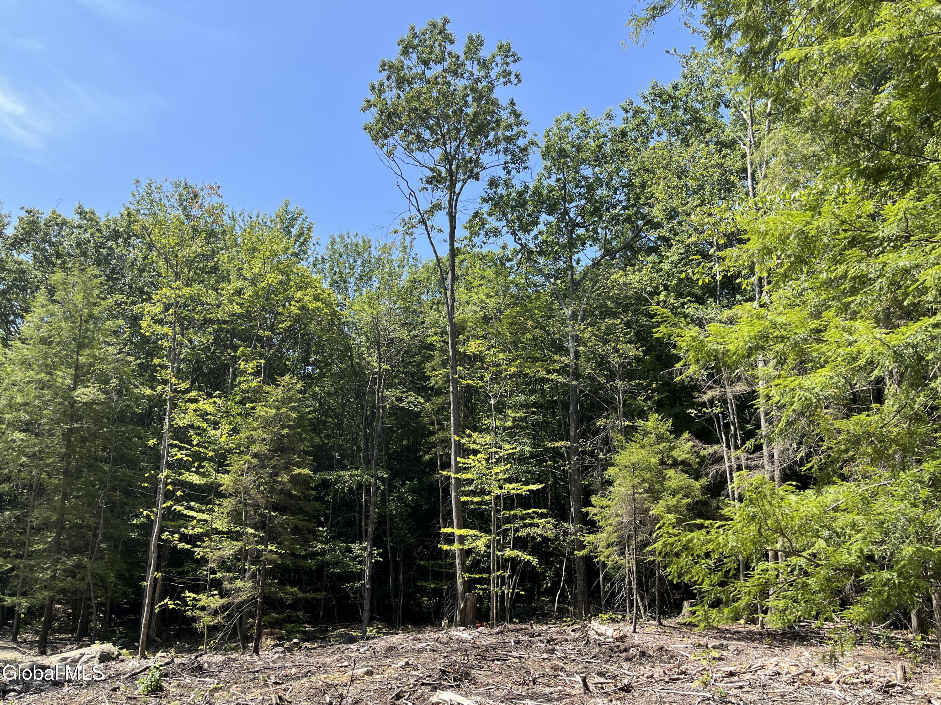 541 Taborton Road Sand Lake, NY 12153 - Photo 20 of 26 SWood30