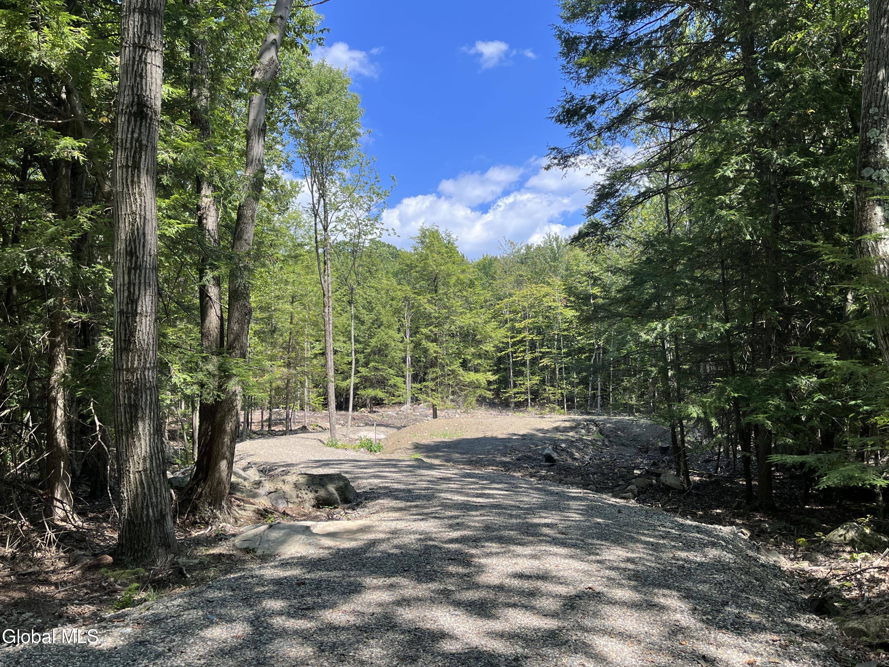 541 Taborton Road Sand Lake, NY 12153 - Photo 2 of 26 SWood7