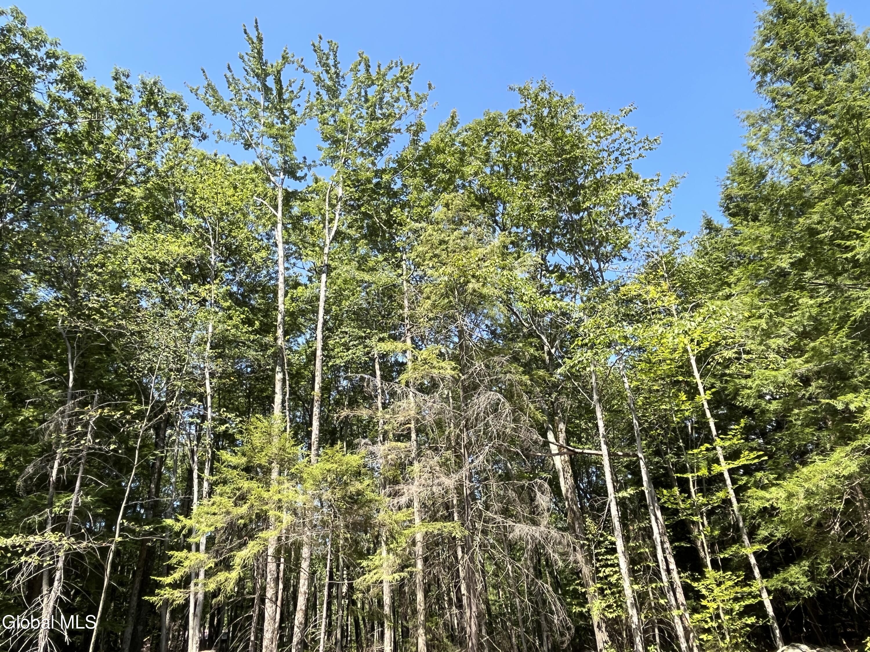 541 Taborton Road Sand Lake, NY 12153 - Photo 21 of 26 SWood31