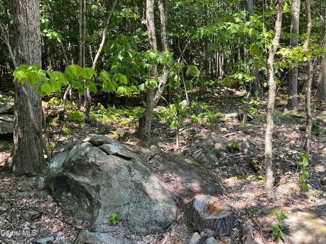 $139,000 | 541 Taborton Road, Sand Lake, NY 12153