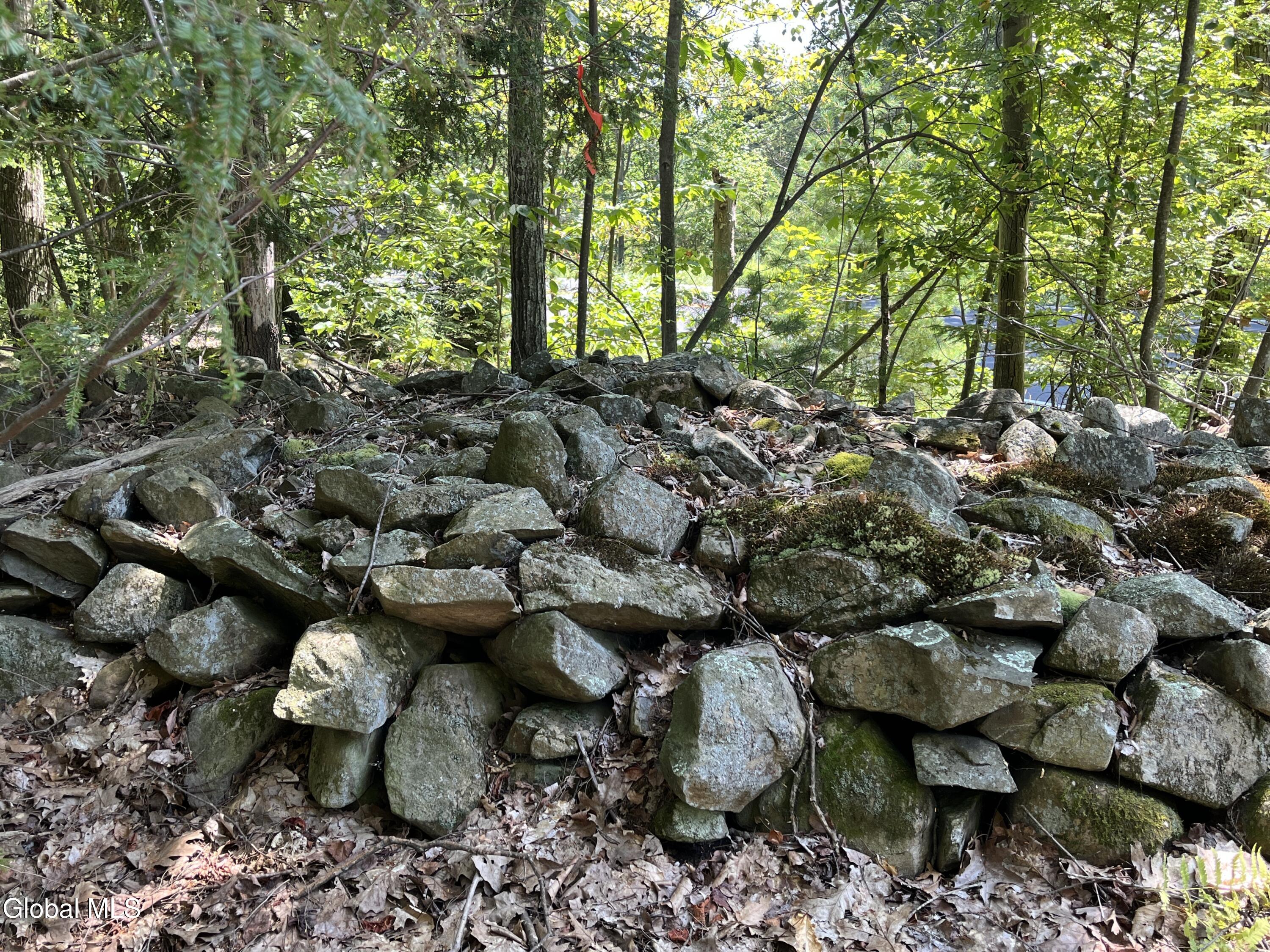 541 Taborton Road Sand Lake, NY 12153 - Photo 3 of 26 SWood6