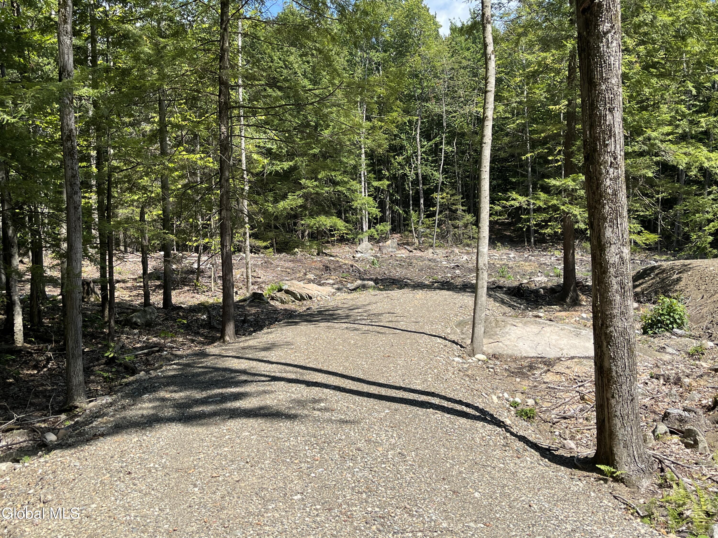 541 Taborton Road Sand Lake, NY 12153 - Photo 5 of 26 SWood19