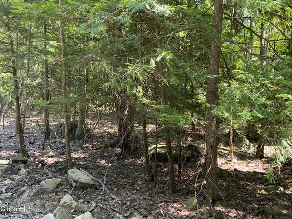 $139,000 | 541 Taborton Road, Sand Lake, NY 12153