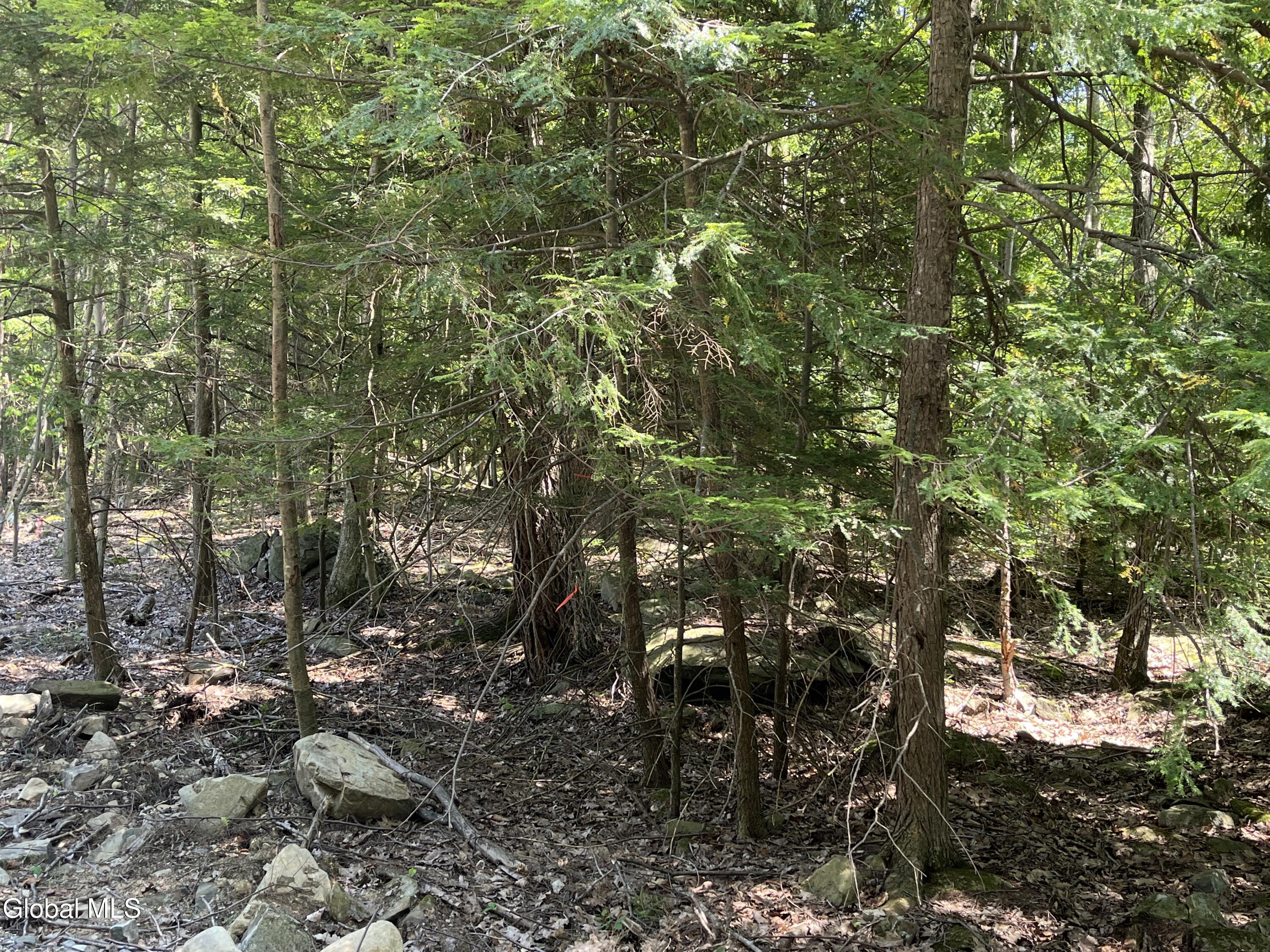 541 Taborton Road Sand Lake, NY 12153 - Photo 8 of 26 SWood16