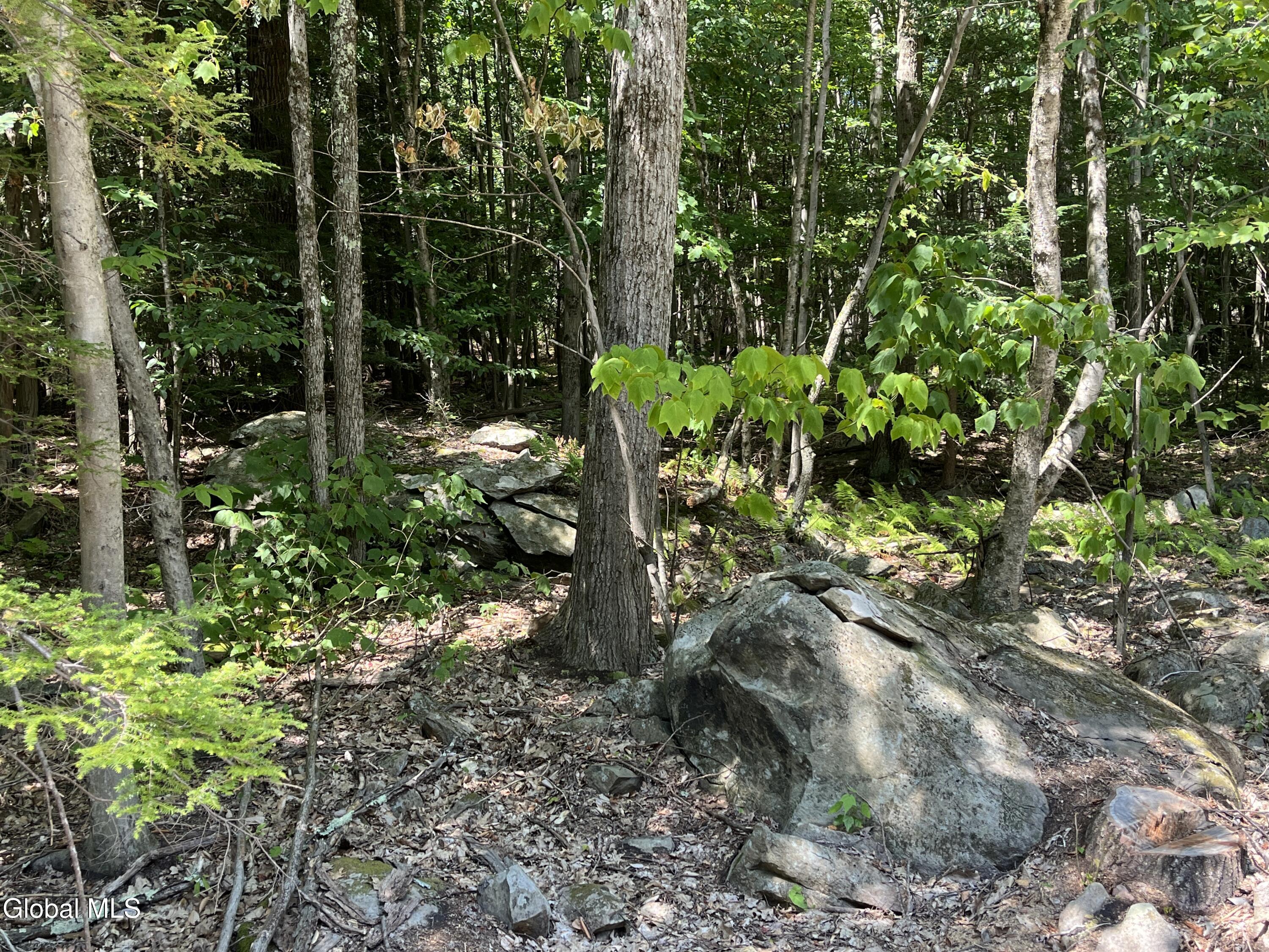 541 Taborton Road Sand Lake, NY 12153 - Photo 10 of 26 SWood18