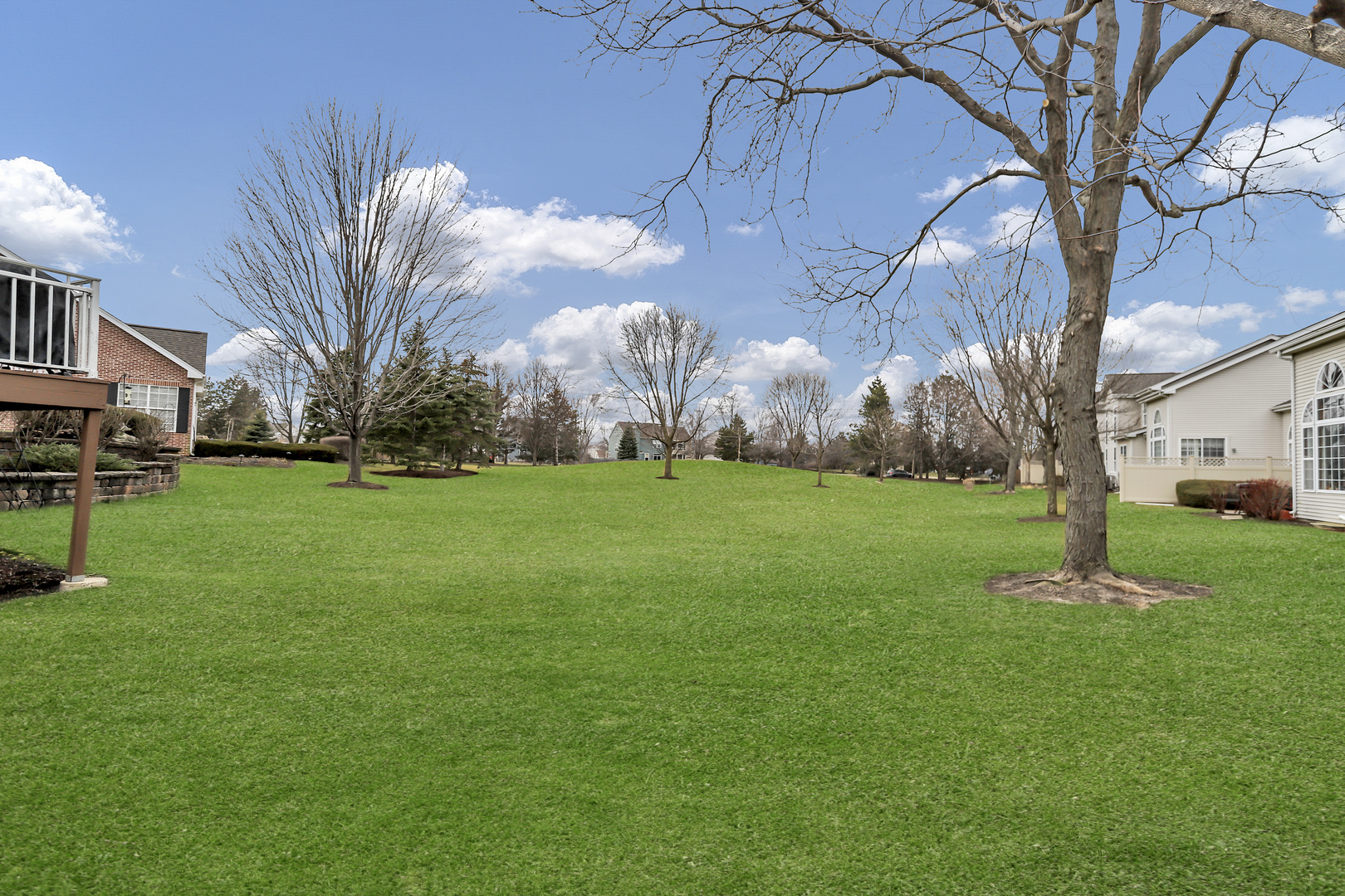 848 Pheasant Trail St. Charles, IL 60174 - Photo 29 of 30 a backyard of a house with plants and large tree