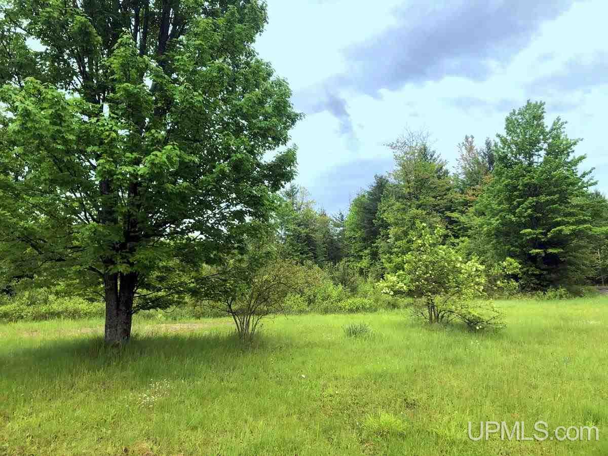 Tbd Co Rd Mt And Mu Palmer, MI 49871 - Photo 1 of 13