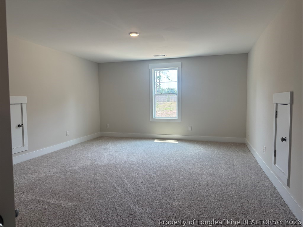 505 Chason Road Lumber Bridge, NC 28357 - Photo 21 of 29