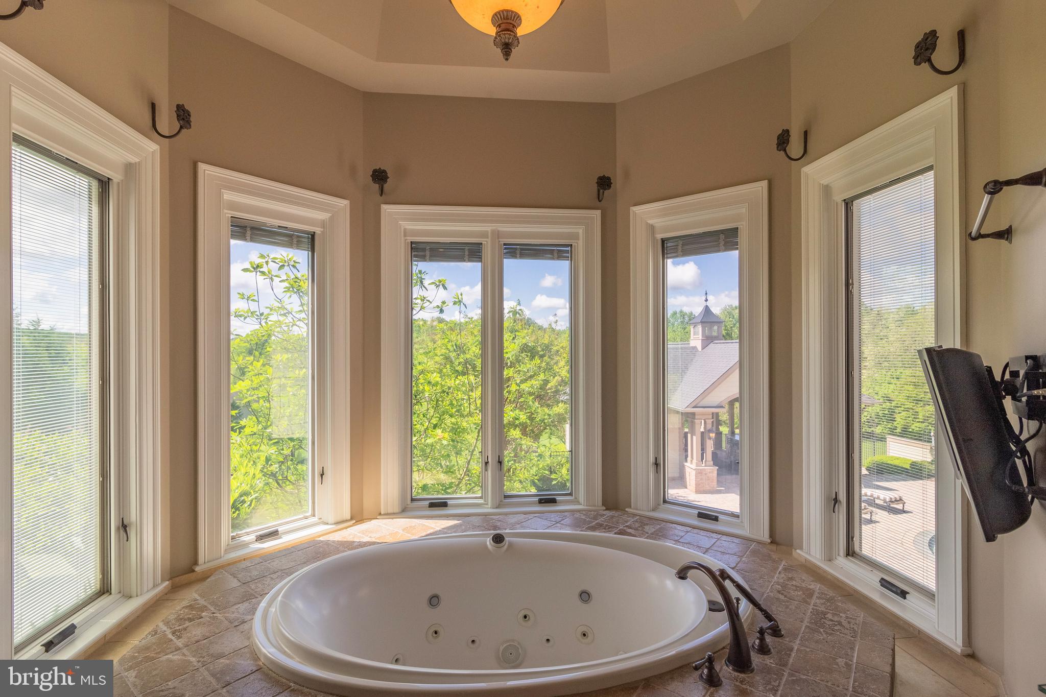 2016 Dixon Road Frederick, MD 21704 - Photo 66 of 118 SPA JETTED TUB OVERLOOKS POOL