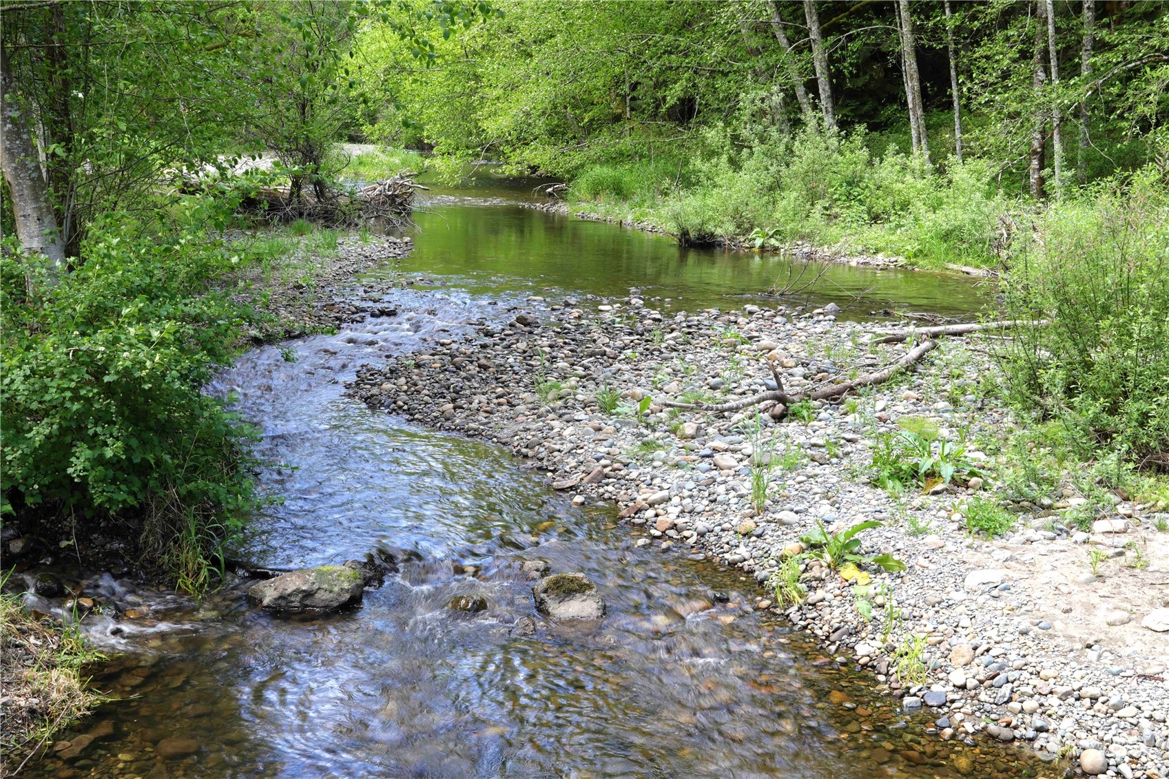 12503 Issaquah-Hobart Road Southeast Issaquah, WA 98027 - Photo 11 of 39 a lake view with a lake view