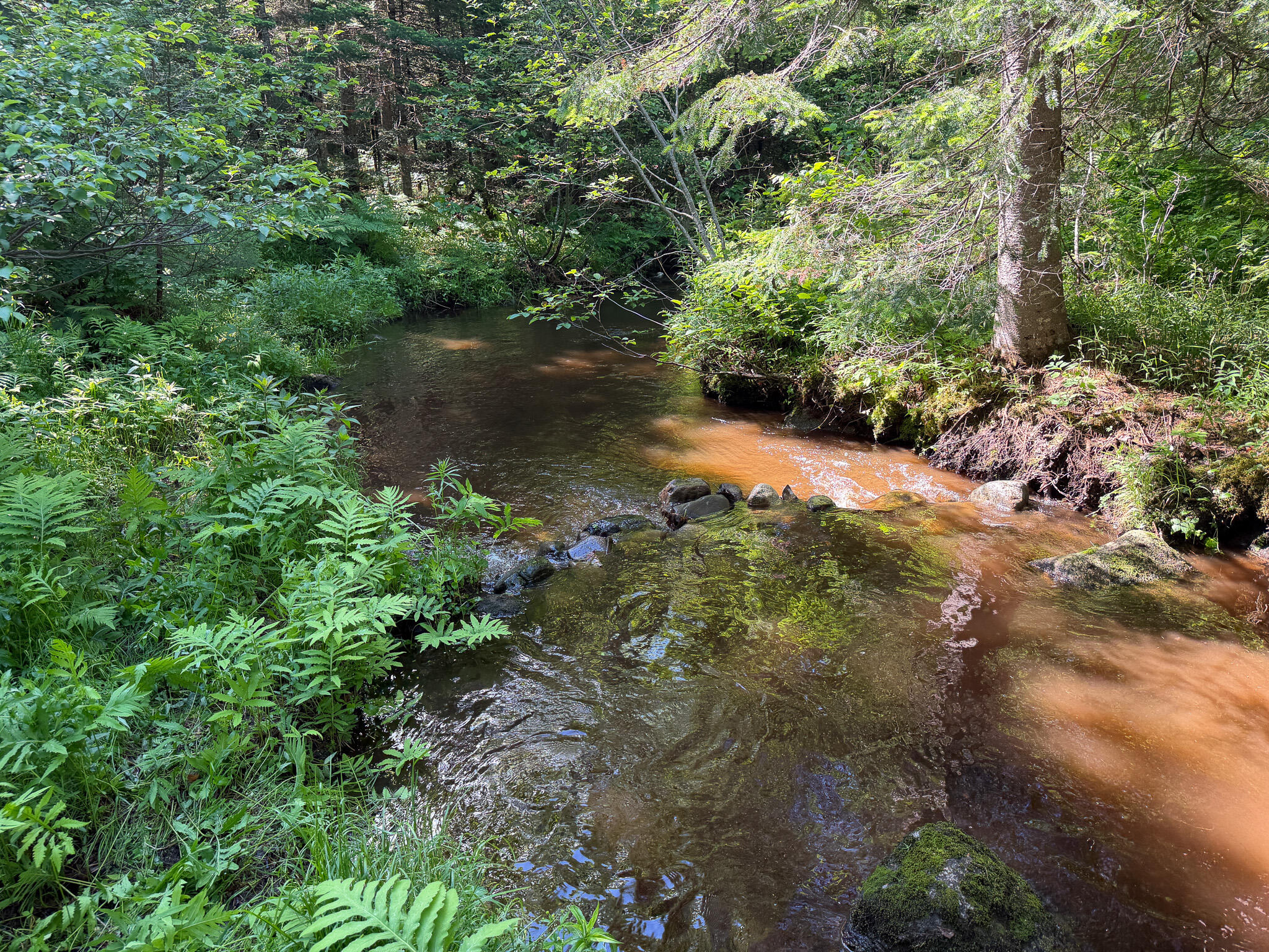 140 East Madrid Road Phillips, ME 04966 - Photo 8 of 20
