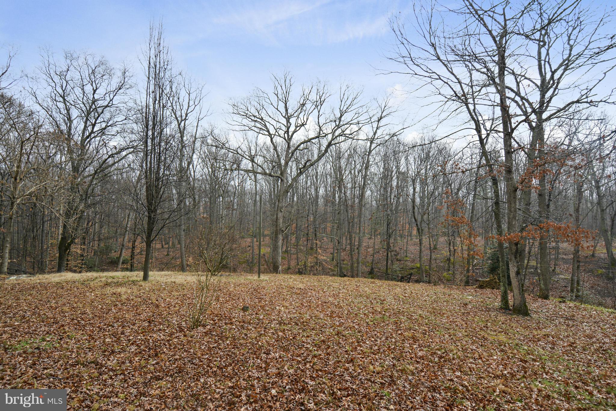 14304 Grandpere Road Brandywine, MD 20613 - Photo 27 of 30 Exterior (General)
