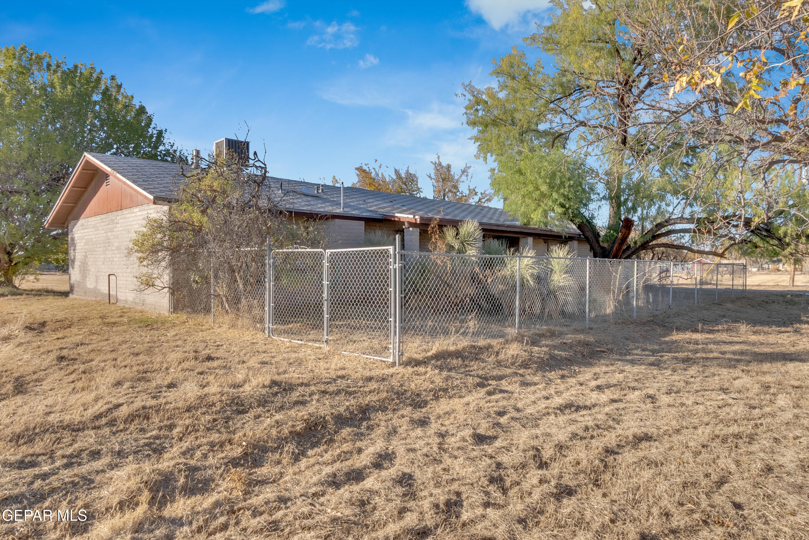 299 Tranquility Road Canutillo, TX 79835 - Photo 19 of 55 a backyard of a house with lots of green space