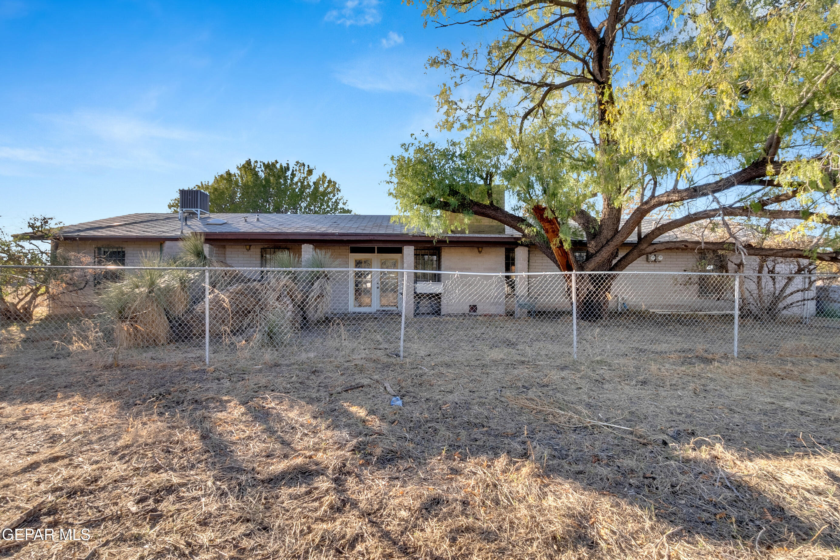 299 Tranquility Road Canutillo, TX 79835 - Photo 20 of 55 a view of a house with a yard and tree s