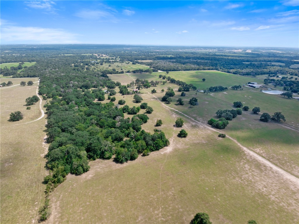 4796 Britten Road Bryan, TX 77807 - Photo 33 of 41 Aerial view of sparsely populated area