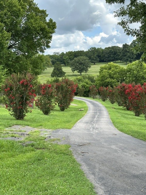 1839 Polly Adams Road Belfast, TN 37019 - Photo 68 of 68 Gallery Image 68