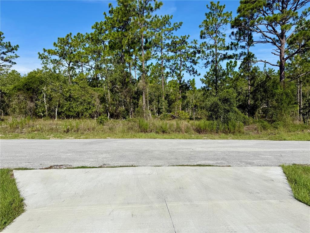 3039 Southwest Viburnum Road Dunnellon, FL 34431 - Photo 13 of 17 Gallery Image 13