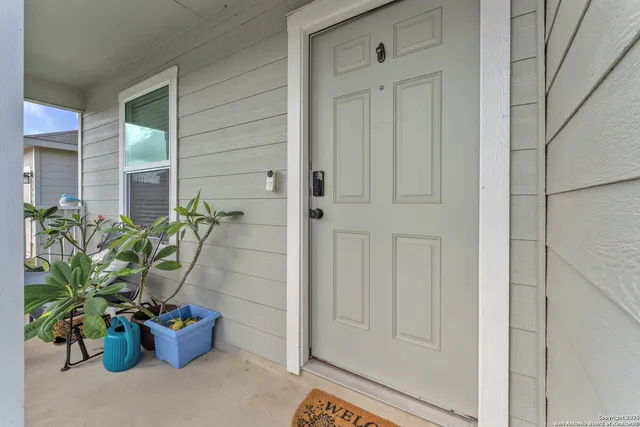 a potted plant sitting in front of a door
