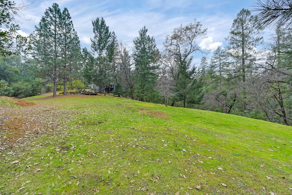 1149 Swanson Lane Colfax, CA 95713 - Photo 37 of 52 a view of a big yard with trees in the background