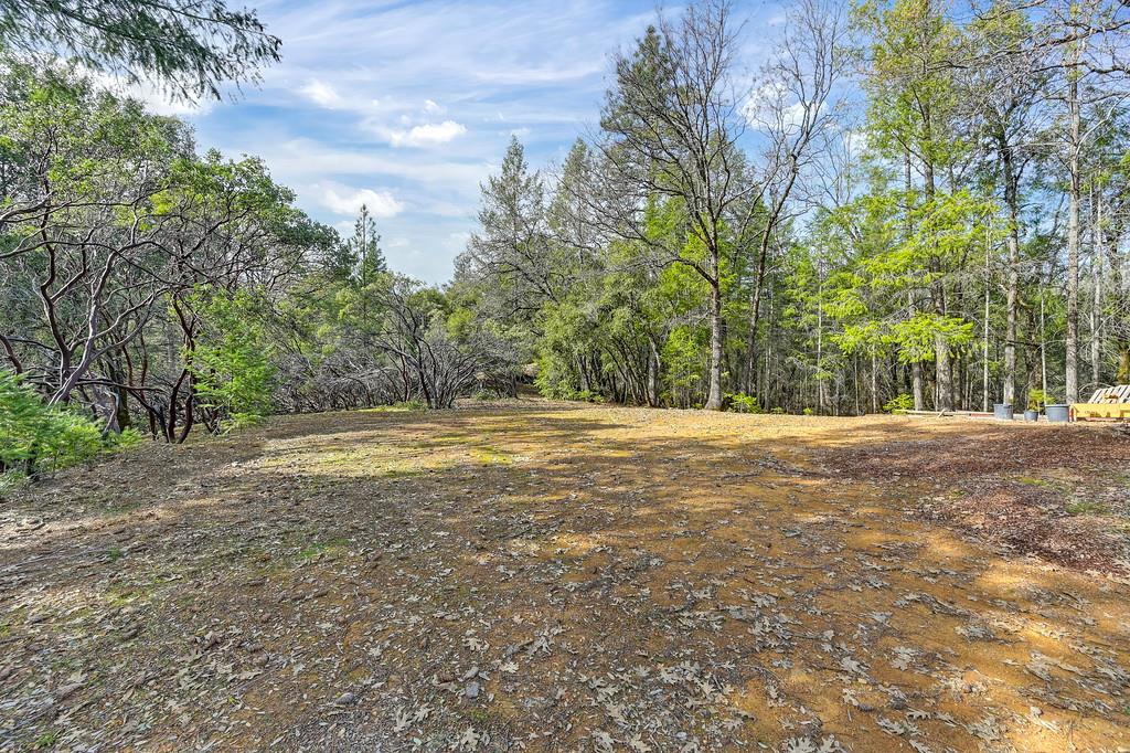 1149 Swanson Lane Colfax, CA 95713 - Photo 38 of 52