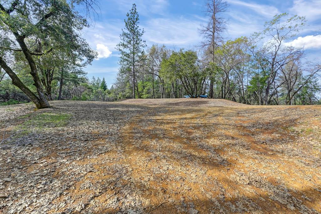 1149 Swanson Lane Colfax, CA 95713 - Photo 43 of 52 a view of a yard with a tree