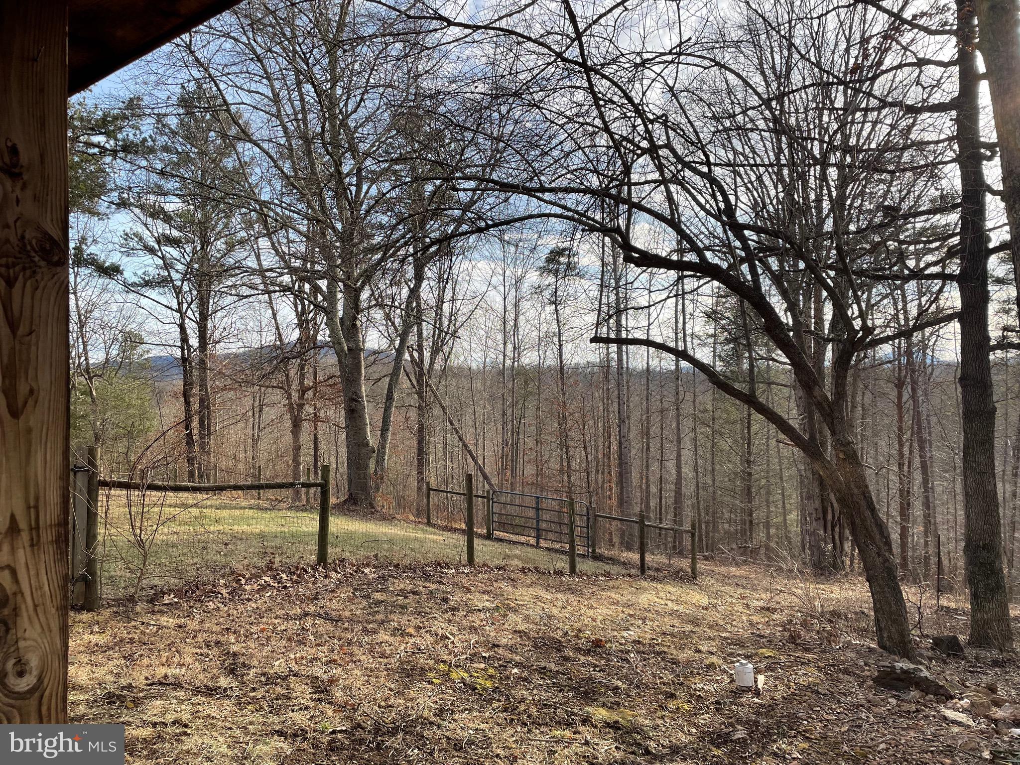 124 Grandview Road Washington, VA 22747 - Photo 3 of 27 Clear some trees for year round views