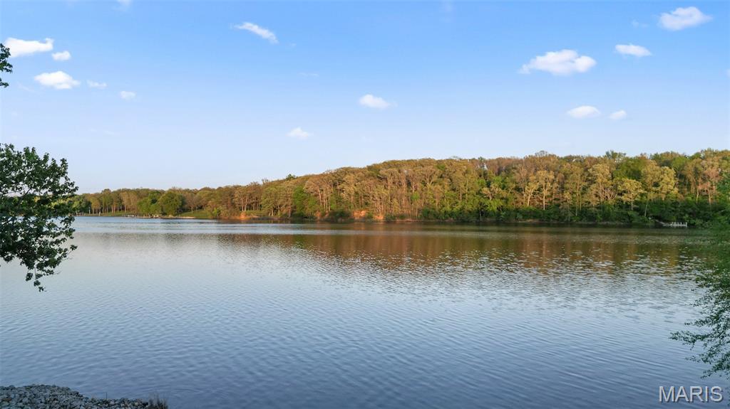 28 Log Lane Irving, IL 62051 - Photo 6 of 35