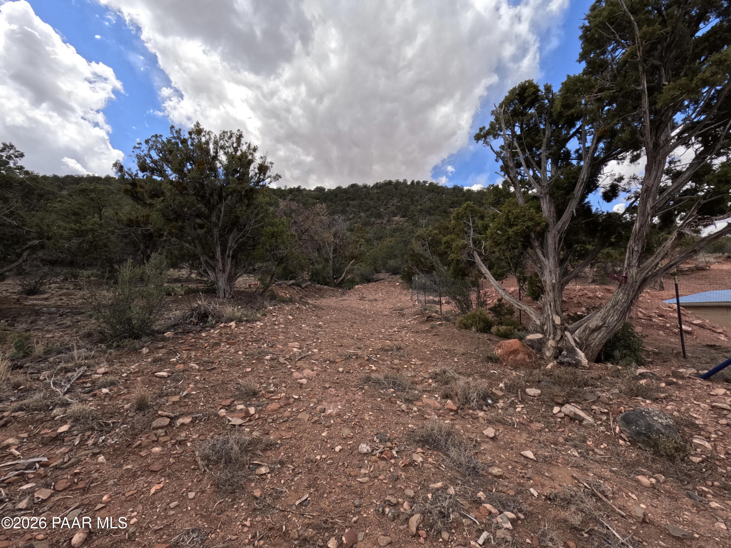 33867 West Whiskey River Road Seligman, AZ 86337 - Photo 50 of 50 Road up Black Mountain