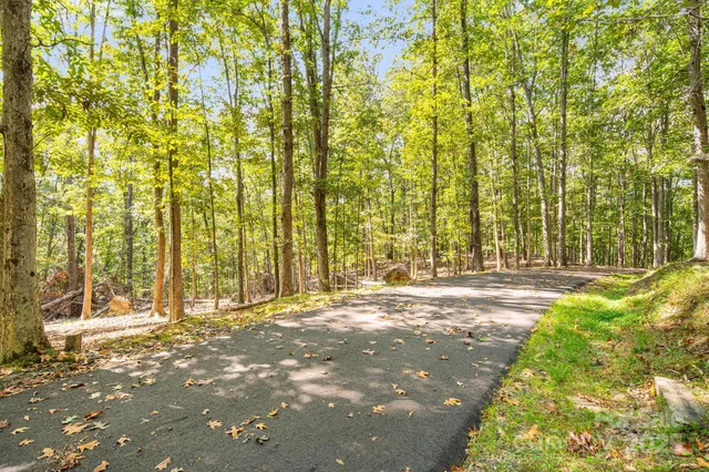 a view of large yard with large trees