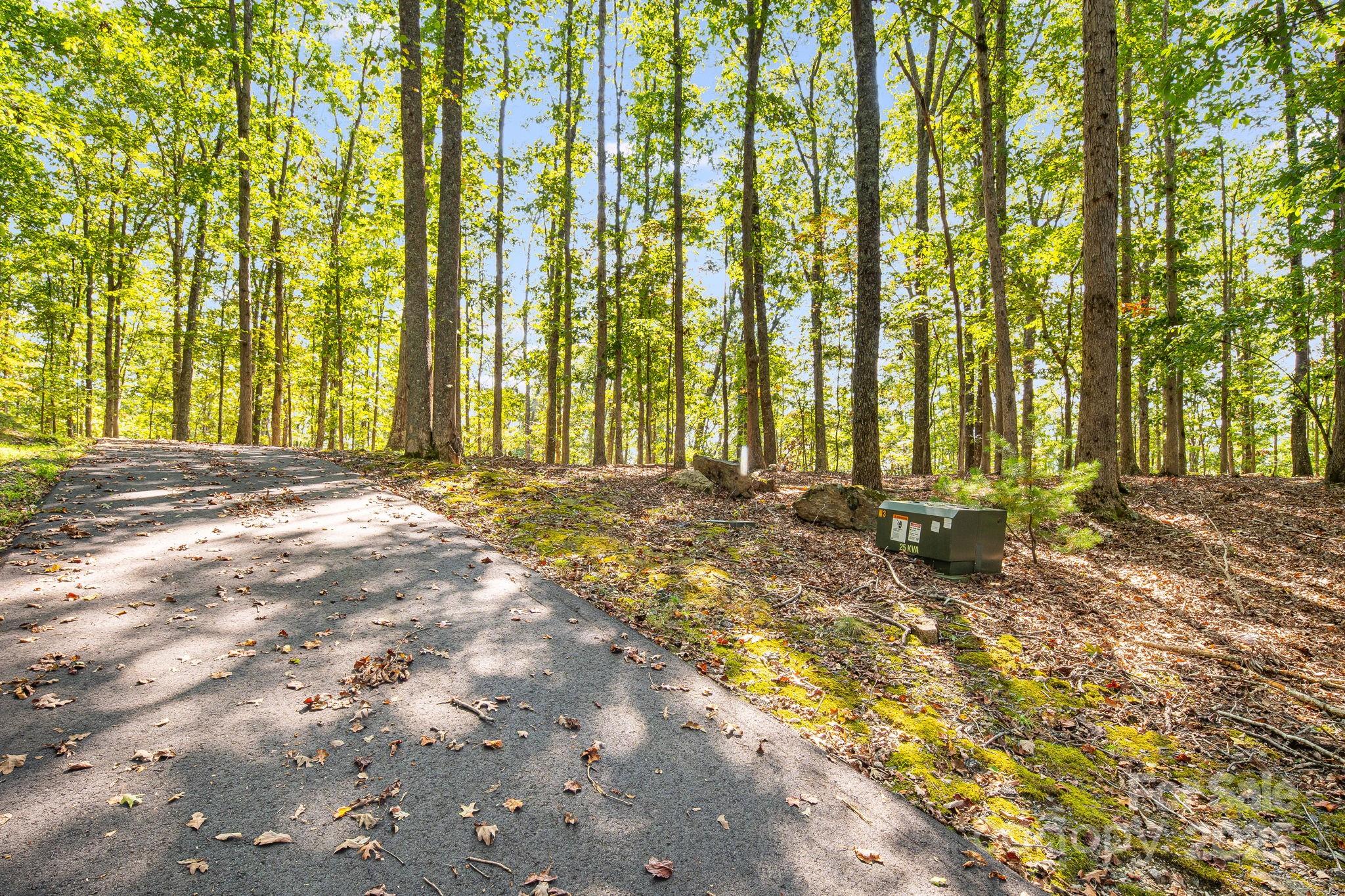 111 Wild Turkey Loop Marshall, NC 28753 - Photo 16 of 19