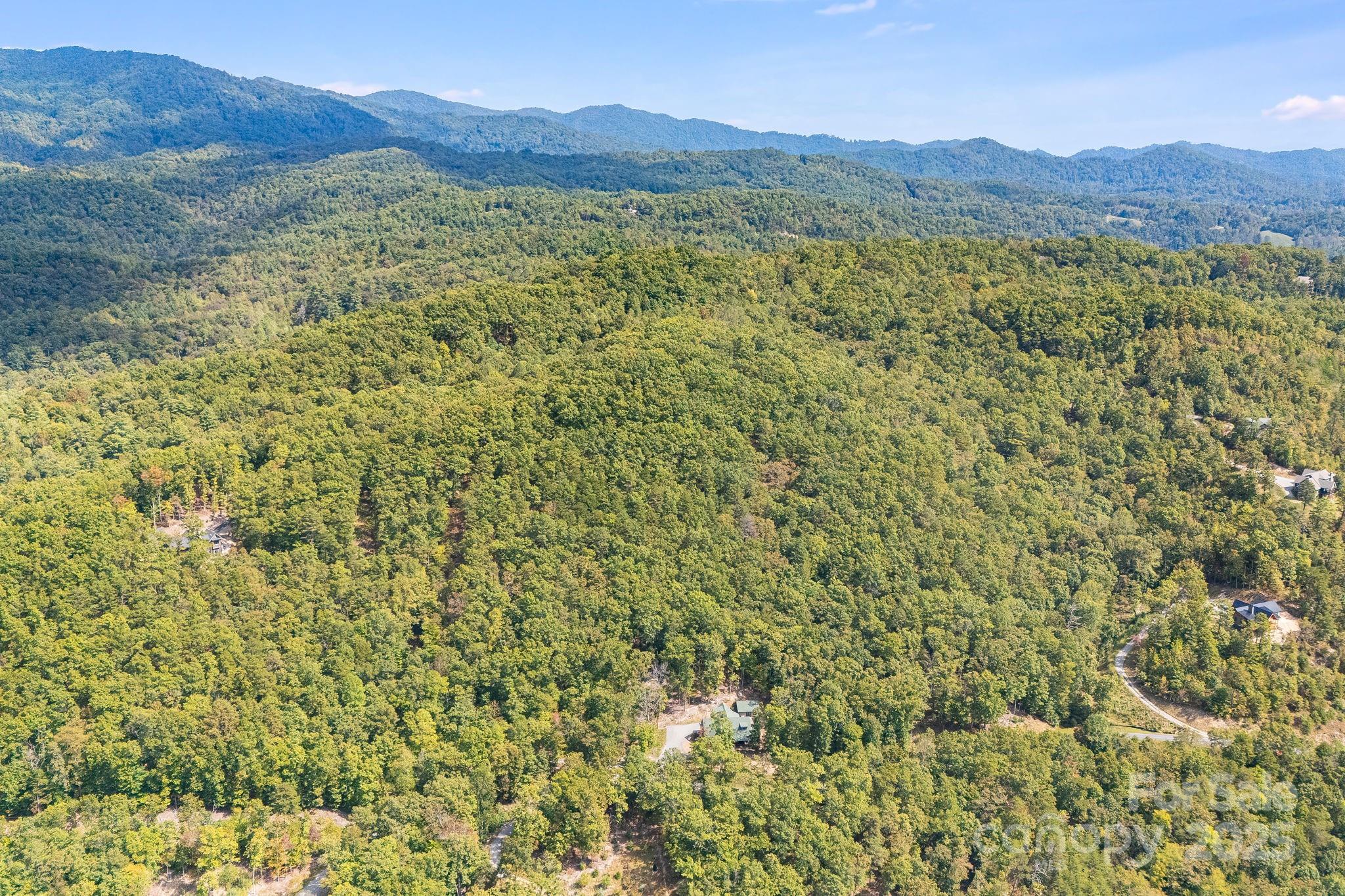 111 Wild Turkey Loop Marshall, NC 28753 - Photo 18 of 19 a view of a lush green hillside and a mountain