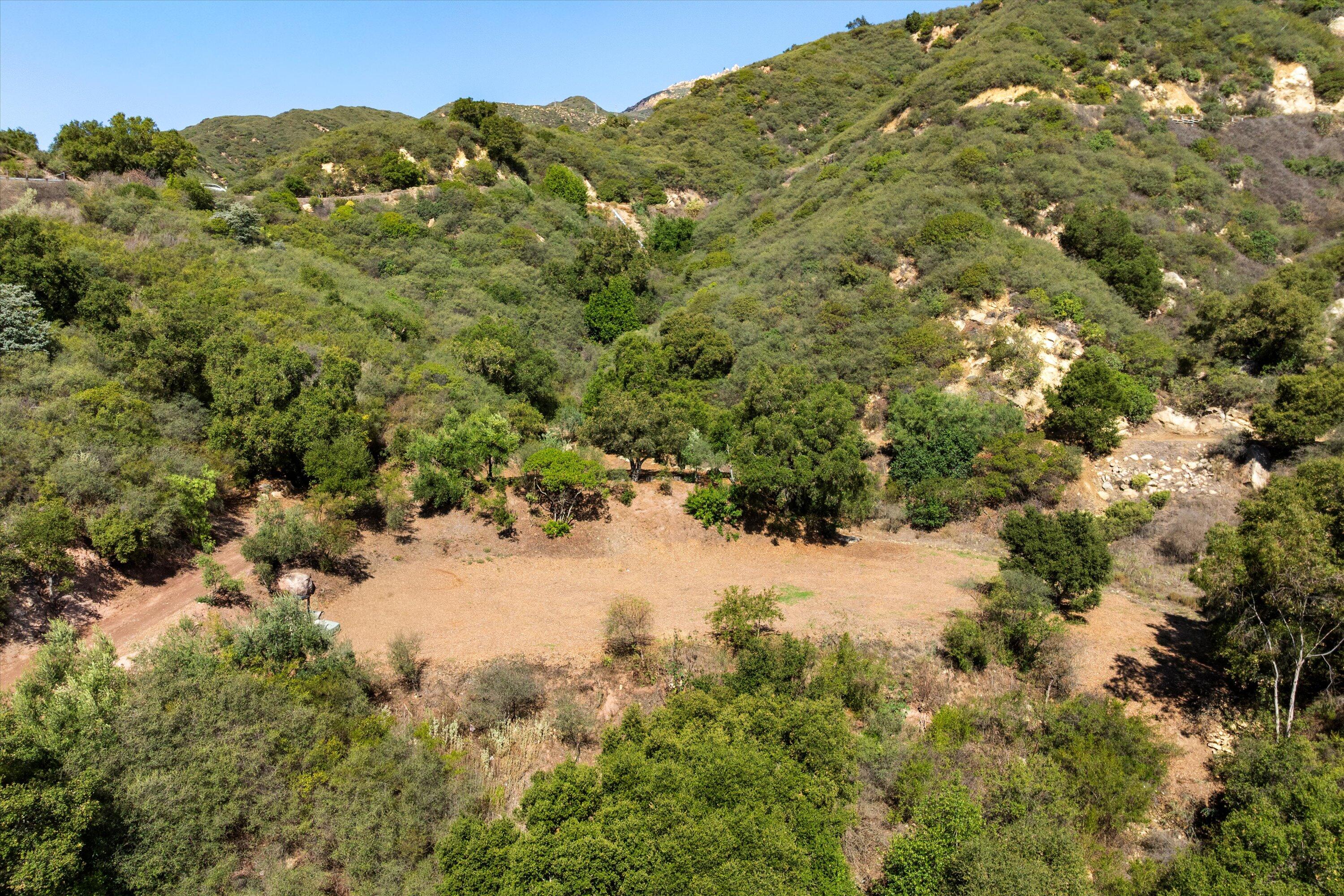 2300 Gibraltar Road Santa Barbara, CA 93103 - Photo 10 of 21 a view of a yard with a tree