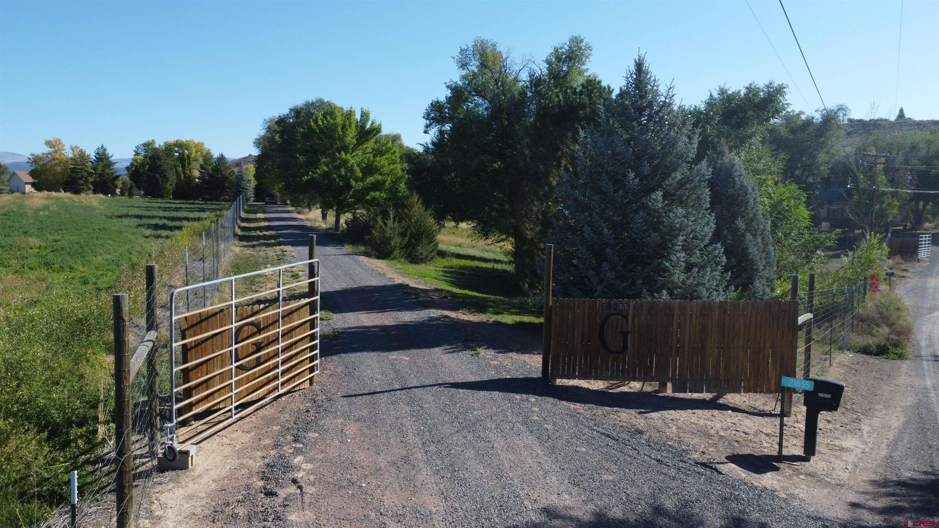 21855 Newland Road Eckert, CO 81418 - Photo 9 of 13