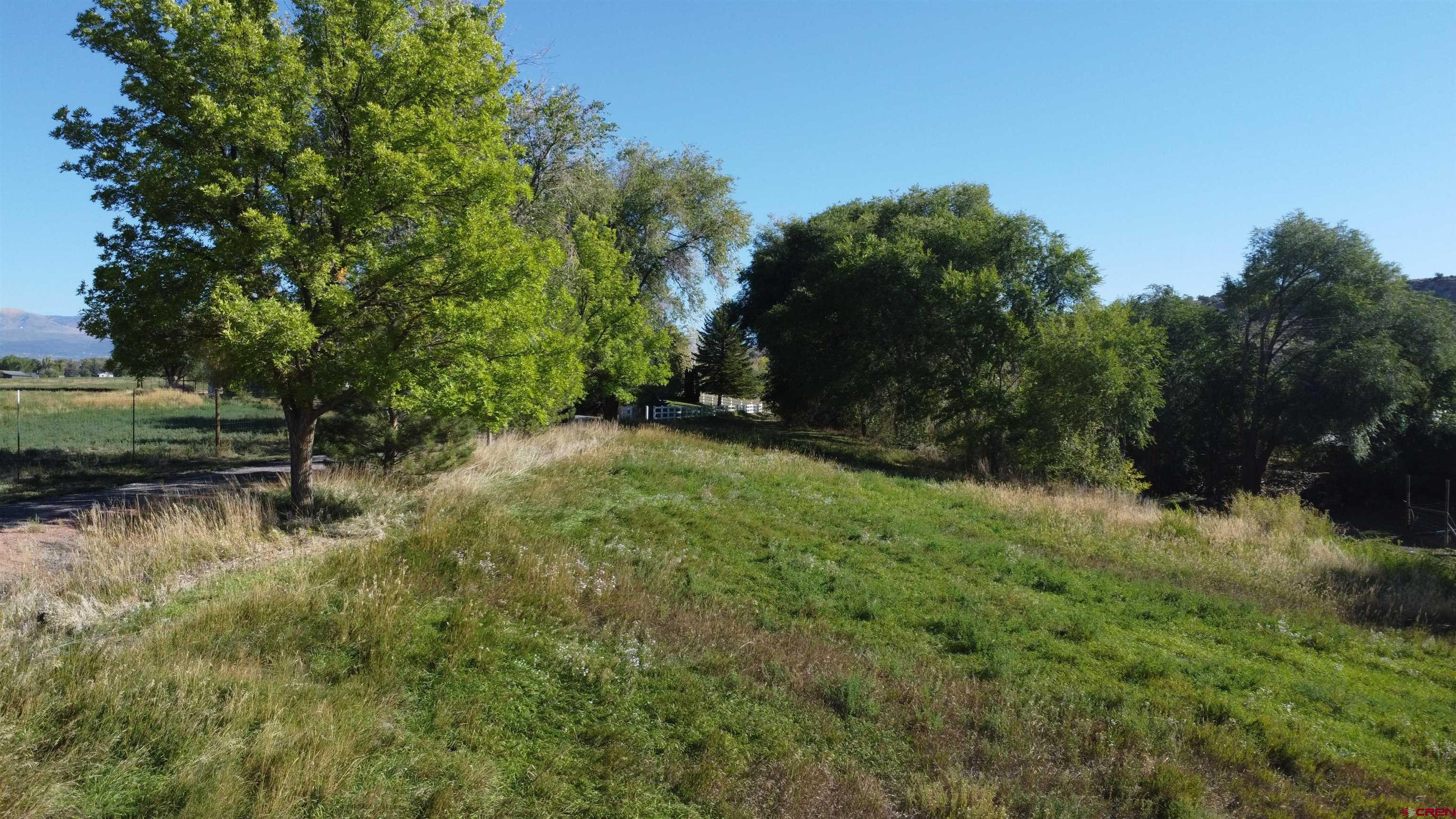 21855 Newland Road Eckert, CO 81418 - Photo 10 of 13 a view of a yard