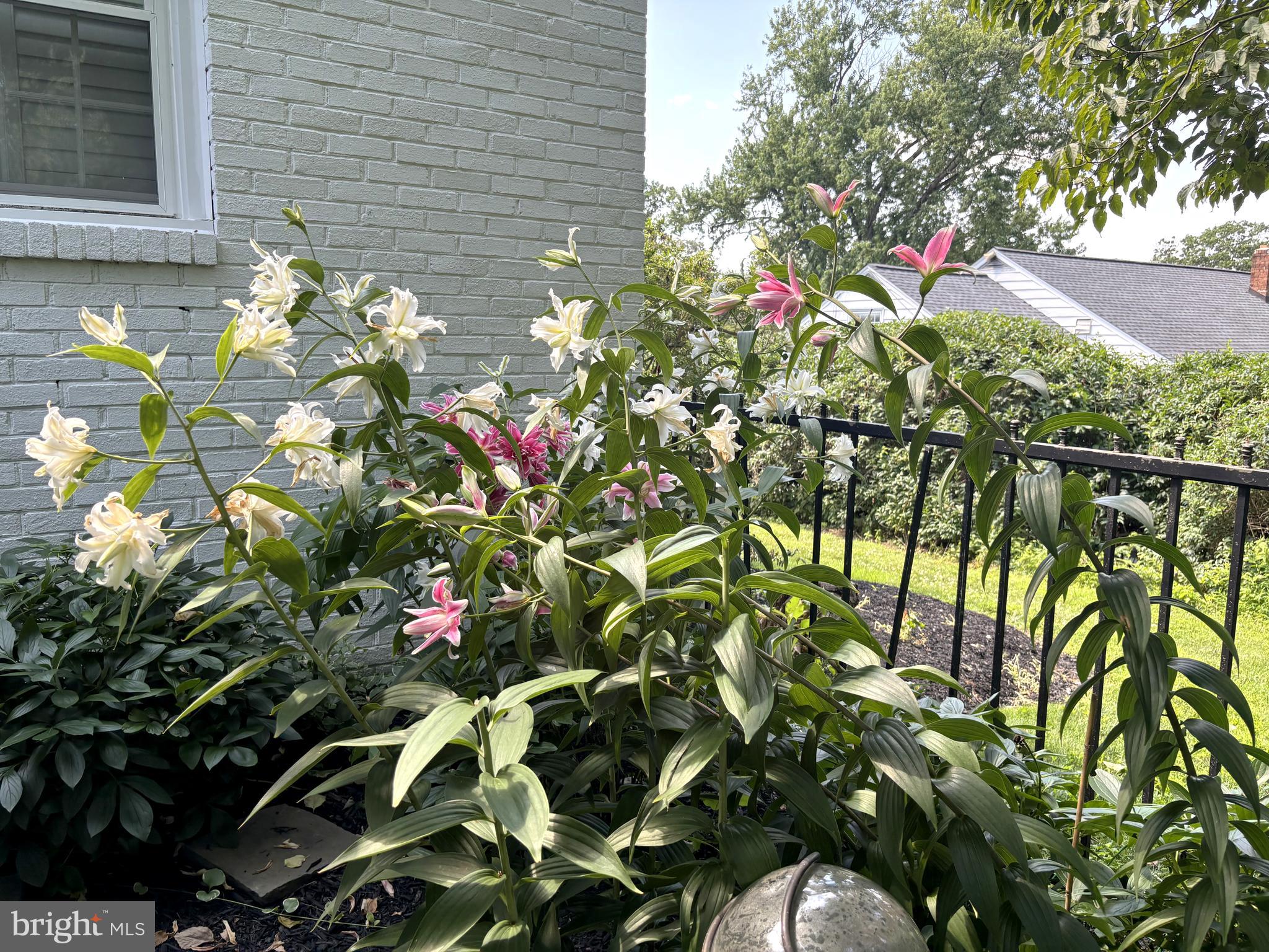 357 Sprague Road Penn Valley, PA 19072 - Photo 43 of 44 Lush plantings