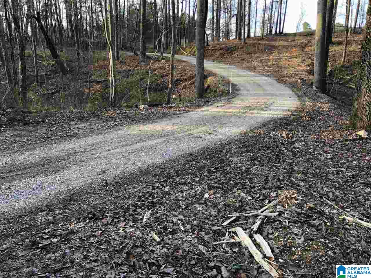0 Drake Drive Springville, AL 35146 - Photo 4 of 23