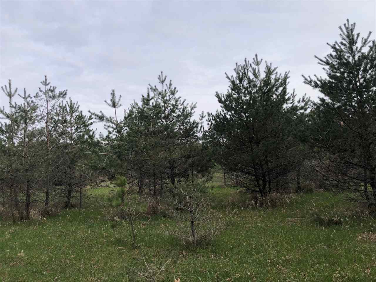 40-acres East Cranberry Lake Road Harrison, MI 48625 - Photo 11 of 21