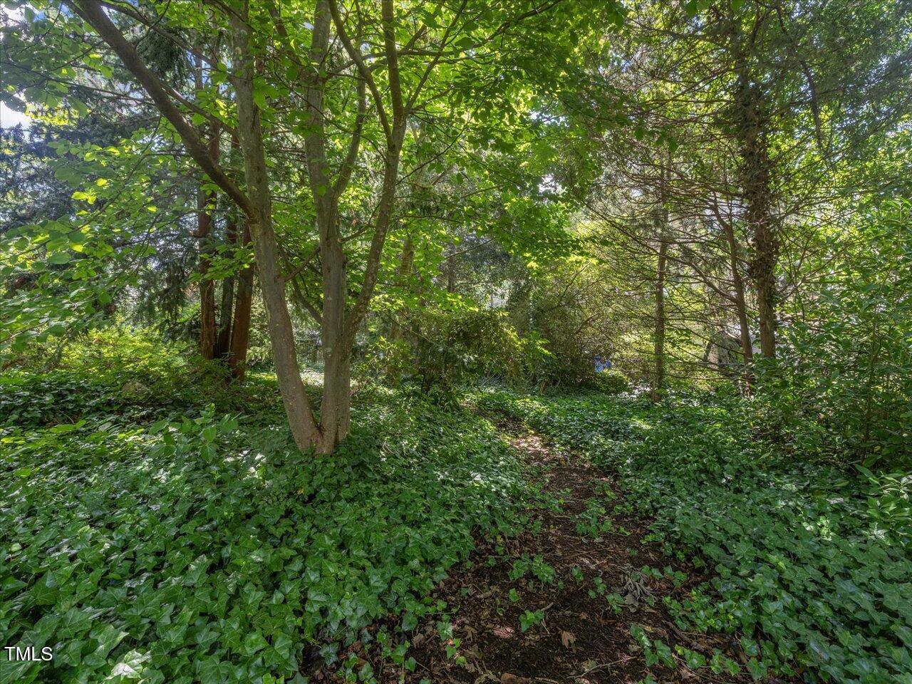 2400 Fairview Road Raleigh, NC 27608 - Photo 71 of 94 087-048-2400-2404-Fairview-20250617