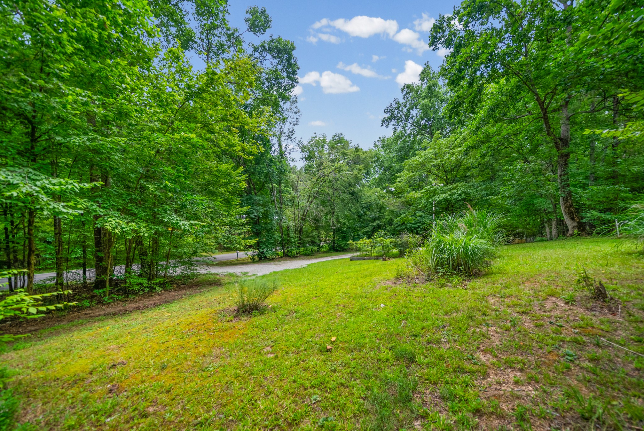 1266 Darbytown Road Hohenwald, TN 38462 - Photo 3 of 44