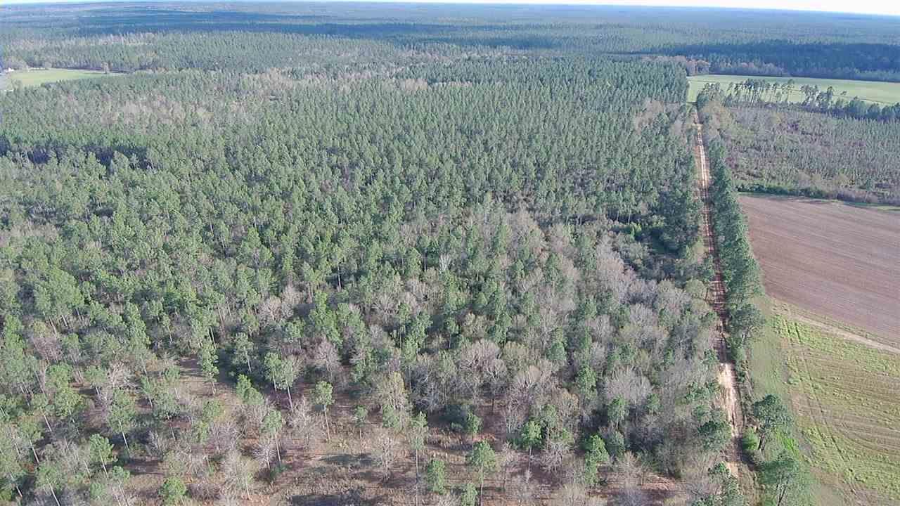 Lot 4 Red Cloud Road Baker, FL 32531 - Photo 8 of 14 Gallery Image 8