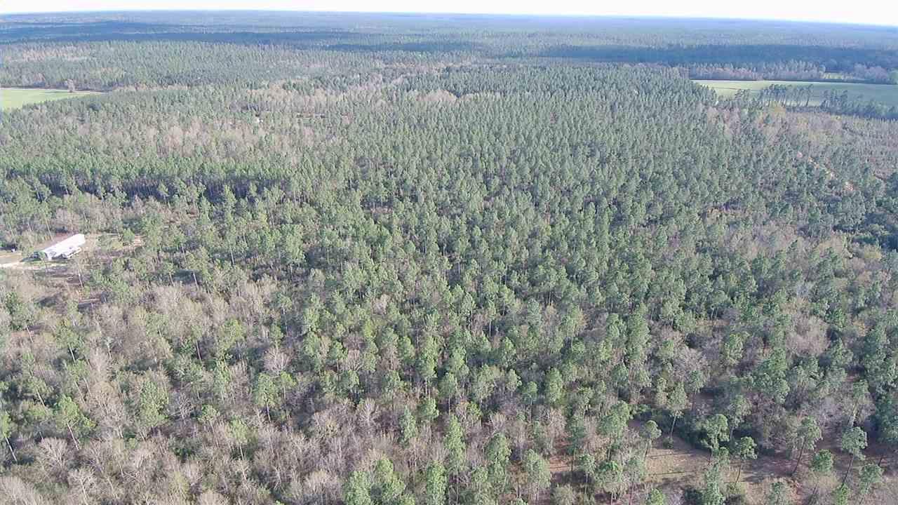 Lot 4 Red Cloud Road Baker, FL 32531 - Photo 10 of 14 Gallery Image 10