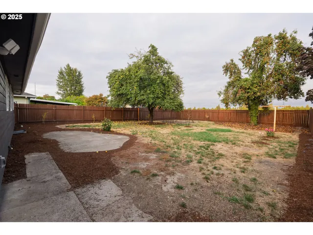 a view of yard with tree in the background