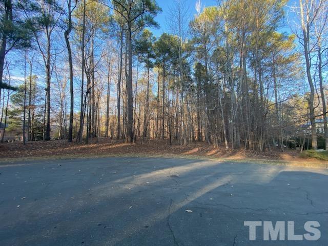 a backyard of a house with trees