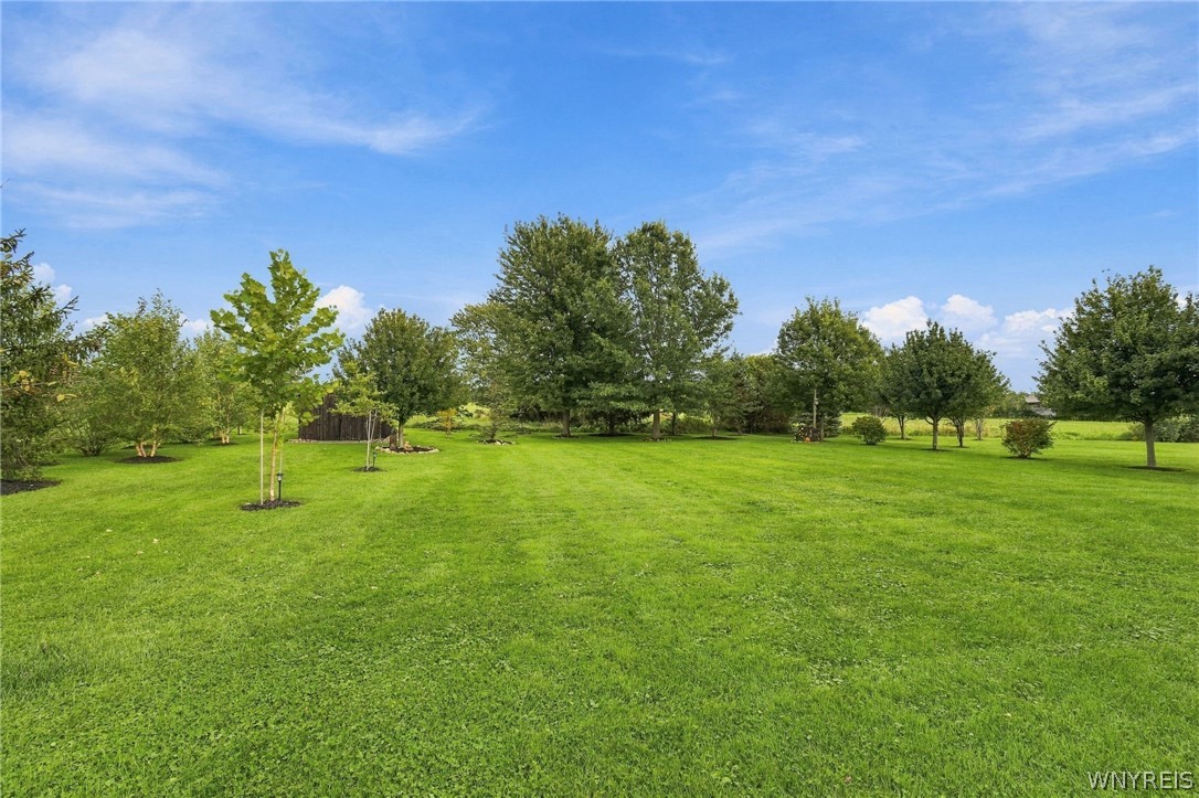 6289 Aiken Road Pendleton, NY 14094 - Photo 47 of 50 Gallery Image 47