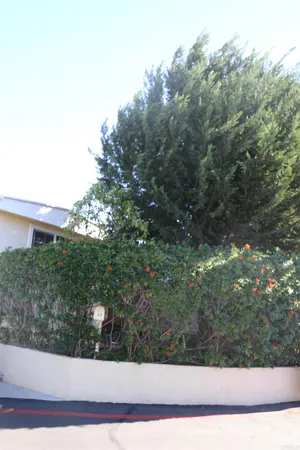 a view of a yard