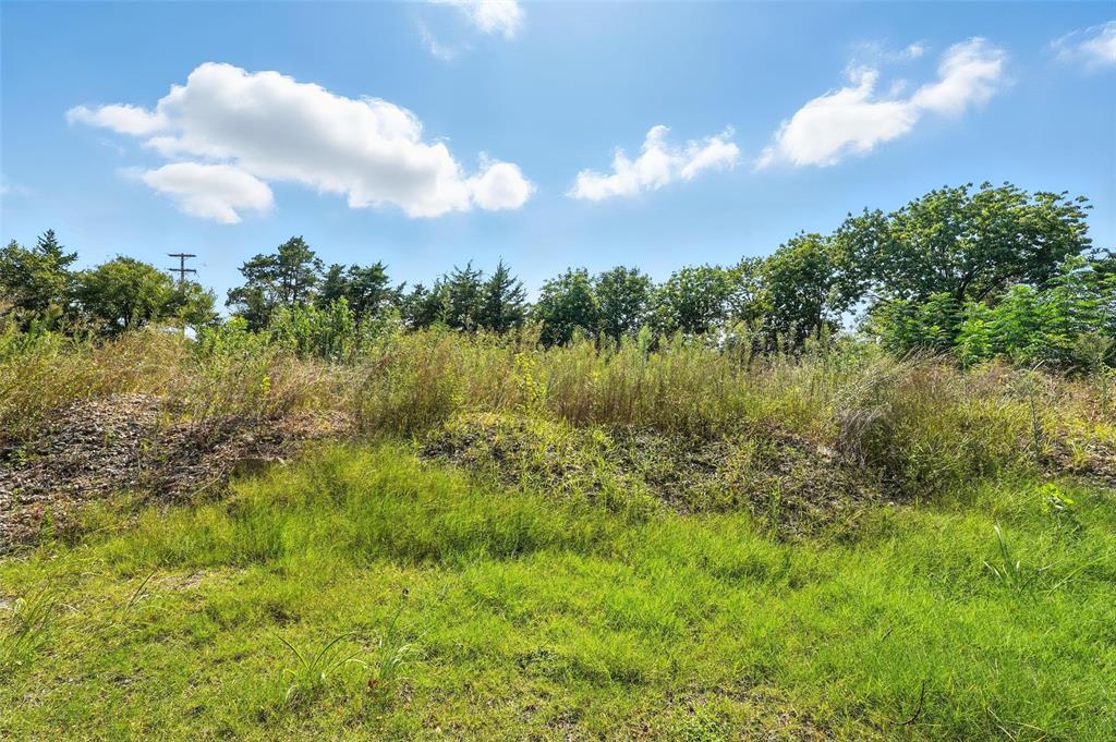 3001 Simpson Stuart Road Dallas, TX 75241 - Photo 18 of 23 View of nature